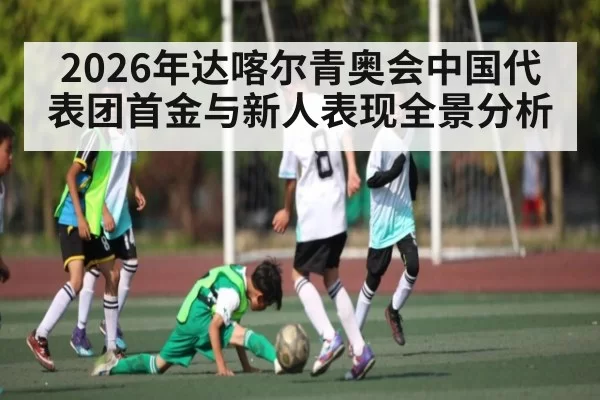 2026年达喀尔青奥会中国代表团首金与新人表现全景分析